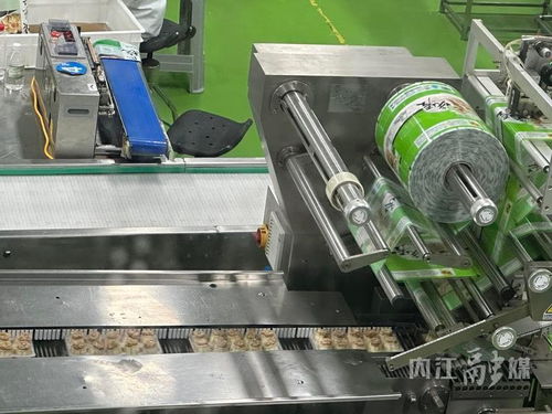 向 新 而行 花1000万搞 智改数转 内江这家30多年老企业很 潮