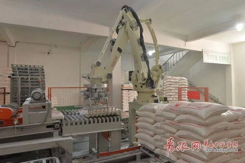 探访 青岛这种知名花生油是这样炼出来的