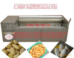 大洋土豆脱皮机tp80型 诸城市大洋食品机械厂